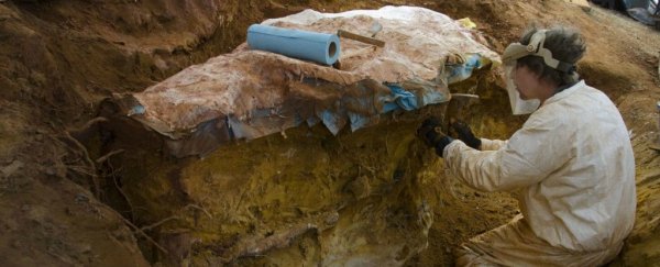 One of world's finest dinosaur footprint discoveries uncovered in NASA's parking lot