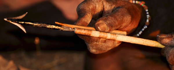 Toxic extract used in poison arrows could be the future of male contraception