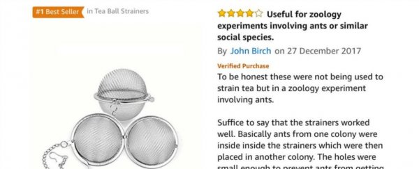 Scientists are writing honest reviews of Amazon products, and they're just so good