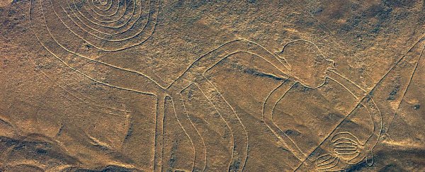 A truck driver has damaged several 2,000-year-old Nazca Lines
