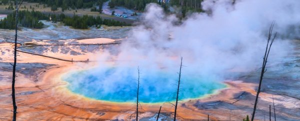 Swarm of over 200 earthquakes detected at Yellowstone supervolcano