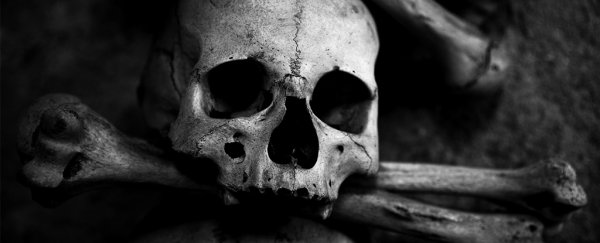 Scientists think they've finally discovered the bones of the richest pirate in history