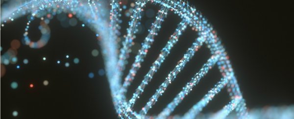 Here's why matching your diet to your DNA is a waste of time