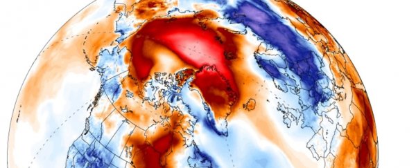 The North Pole has gone above freezing in the dead of winter, stunning scientists