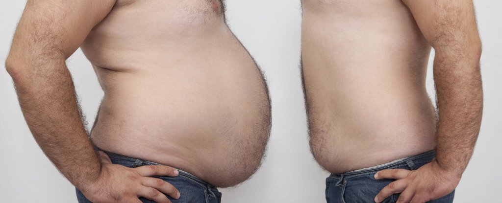 This Is Where Body Fat Actually Goes When You Lose Weight ScienceAlert