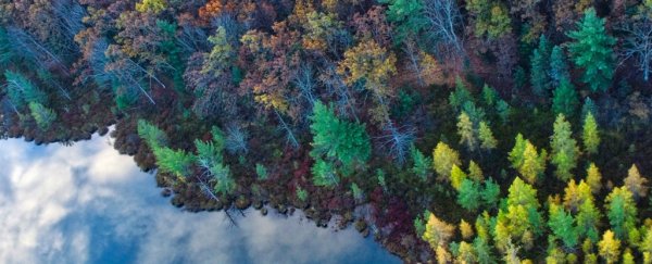 To save Earth, we need to stop trying so hard