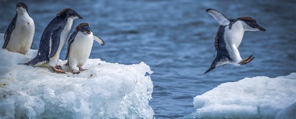 What we do in the next 5 years will affect sea levels for several centuries