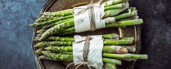 A new study links asparagus to cancer and the internet is freaking out