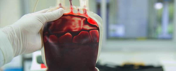 We might finally know why the blood of young people can rejuvenate old brains