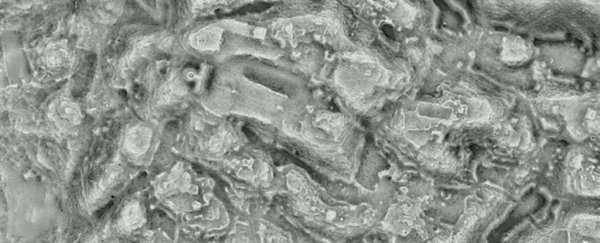 Lost city in Mexico may have had as many buildings as Manhattan