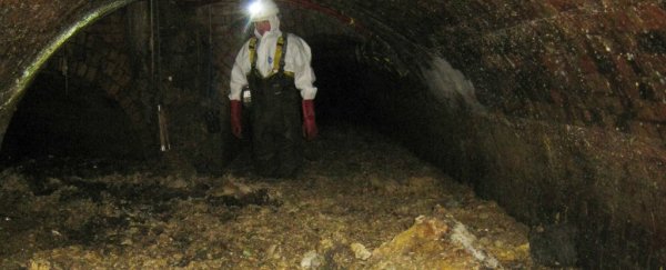 The Museum of London just put a fatberg on display and it sounds horrifying