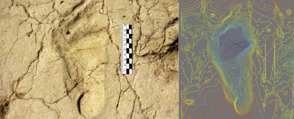 Footprints from children 700,000 years ago reveal just how much parenting has changed