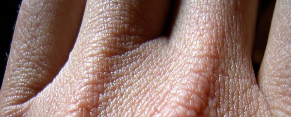 Scientists have figured out why human skin doesn't leak