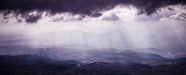 Insane numbers of viruses are constantly falling on us from the sky, study shows