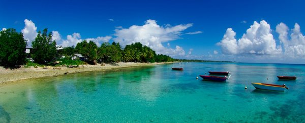 This Pacific island was expected to disappear, but it's actually growing larger