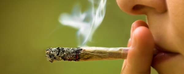A mysterious syndrome in which marijuana users become violently ill is worrying researchers