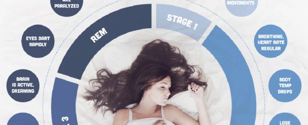 This is what your body is busy doing while you're asleep