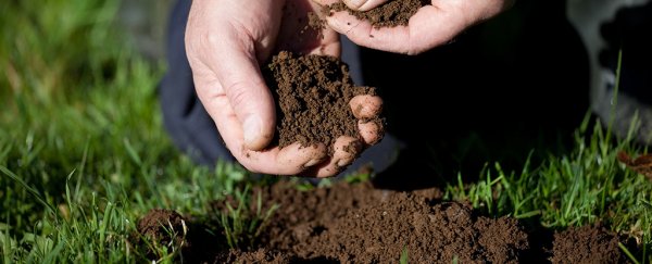 Scientists just found a super-powerful new class of antibiotics in dirt