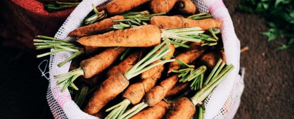4 myths about GMOs and organic food everybody needs to stop believing