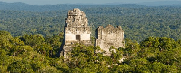 Laser survey has revealed vast network of hidden Maya structures in Guatemalan jungle