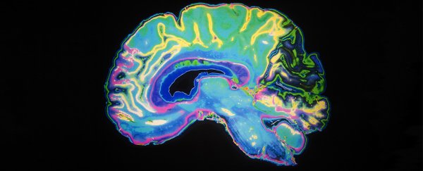 These major mental illnesses share unexpected levels of gene activity