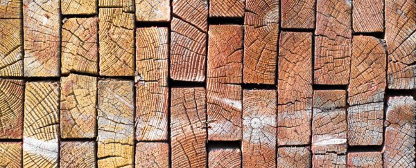 Scientists have developed a way to make wood as strong as steel