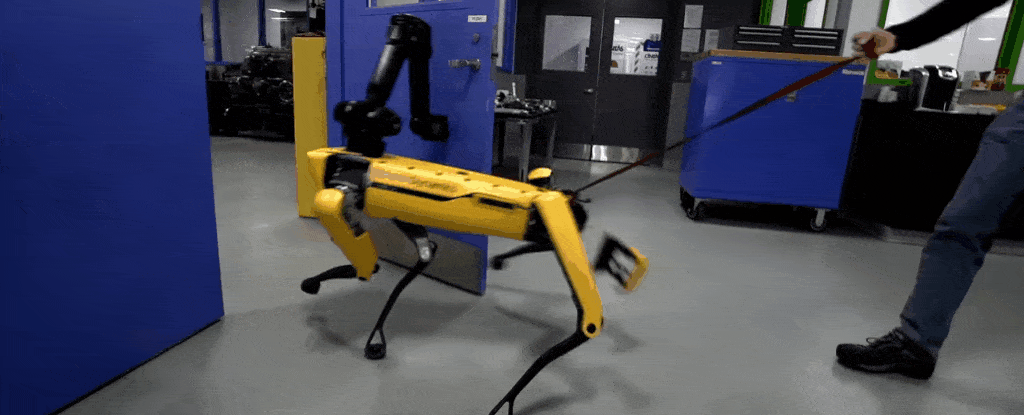 frynser biograf Akrobatik Boston Dynamics New Video Is Just Another Reason Robots Will Hate Us One  Day : ScienceAlert