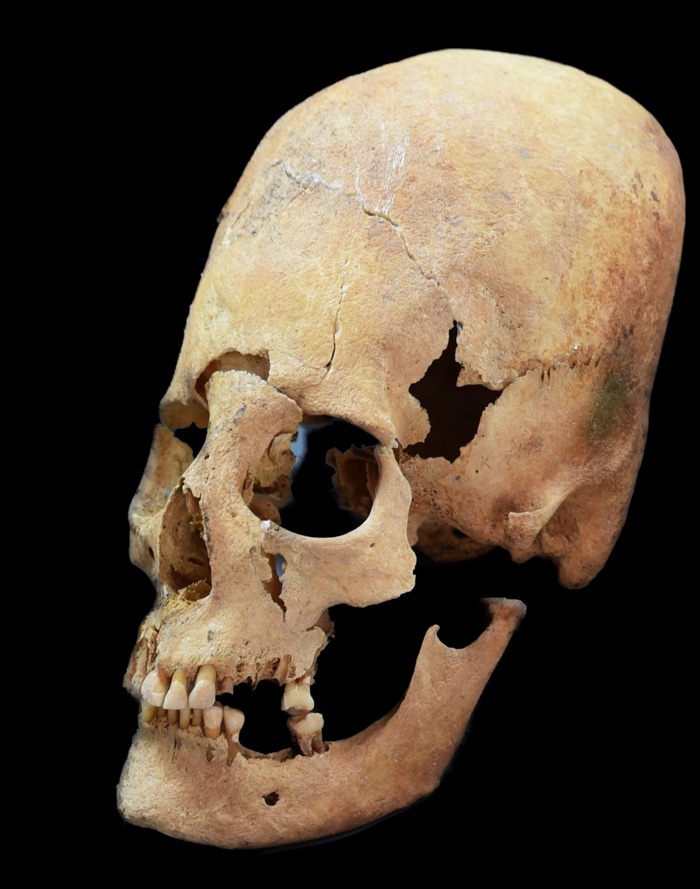 627 elongated skulls bavaria 2