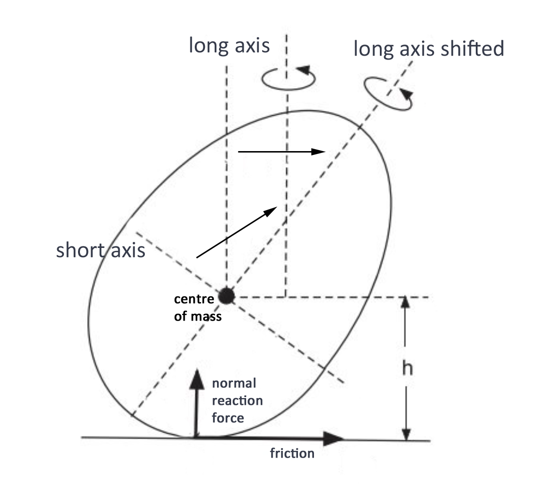 The physics of a spinning egg