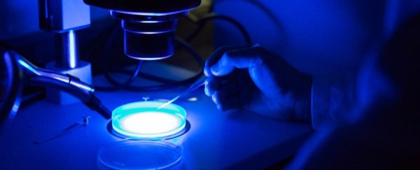 We just found a game-changing weapon against drug-resistant superbugs