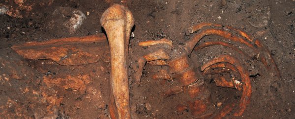 Africa's oldest ever DNA sheds light on the mysteries of an ancient culture