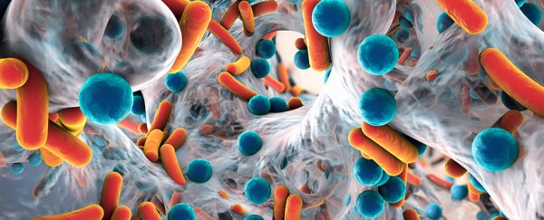 A Dangerous Antibiotic-Resistant Gene Has Spread The World. We Now Know Where It Started