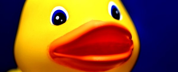 Your rubber ducky is a disgusting biohazard, loaded with potential pathogens