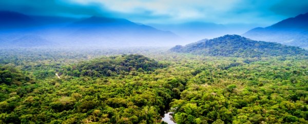 A hidden population of up to 1 million humans thrived in 'uninhabited' Amazonia