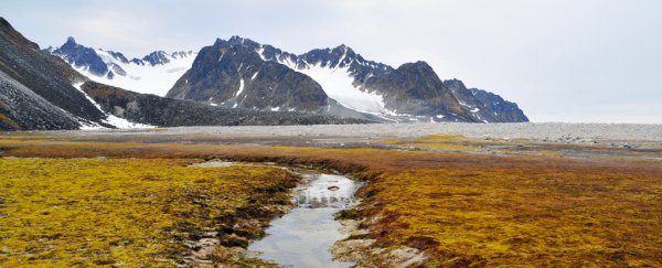 There's worrying new evidence that Arctic soils are releasing ancient stored carbon