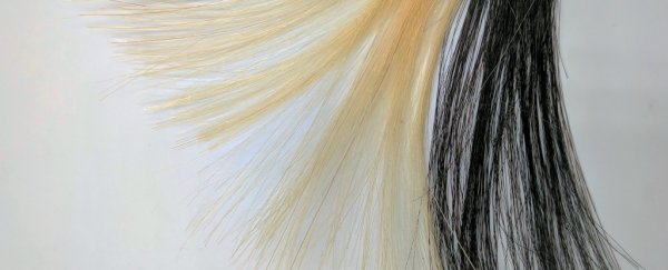 Scientists have found a way to use graphene as... hair dye