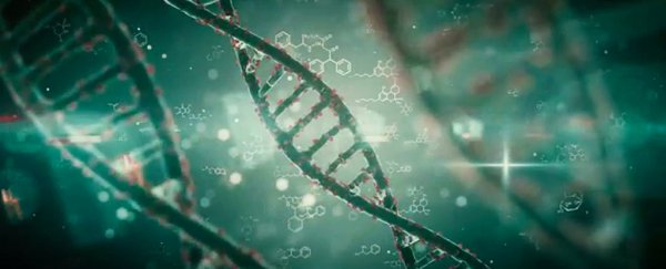 Stress in early childhood could make the brain's DNA remap itself