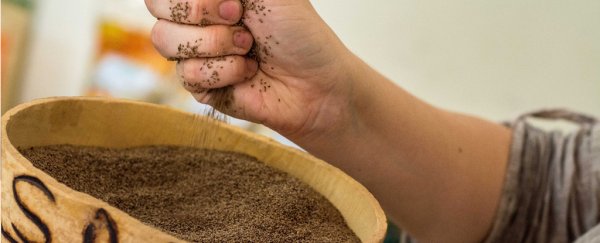 This drought-proof African grain is the new 'super food' our world actually needs