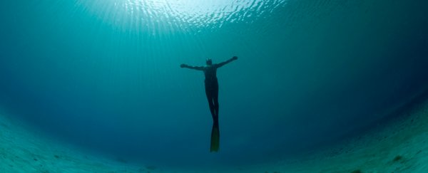Free divers defy the limits of science, and we're beginning to understand how