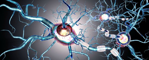That "Game Changer" MS Treatment Going Viral Really Might Be Too Good To Be True