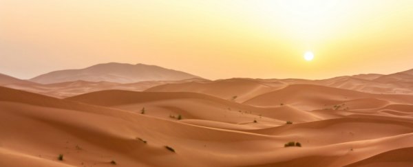 The Sahara desert has grown by 10%. Here's what you need to know
