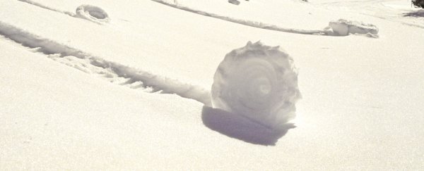 Meet nature's wondrous, self-rolling snow doughnuts