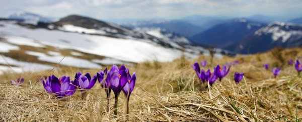 The 2018 spring equinox is here and this is what that actually means