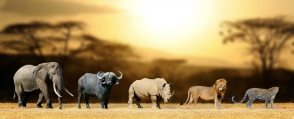 Nearly every member of Trump's wildlife advisory board is a trophy hunter