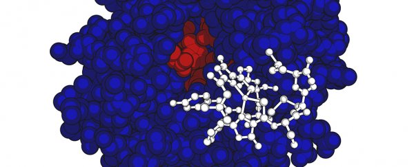 This hungry bacteria could help clean up heavy metals and greenhouse gases