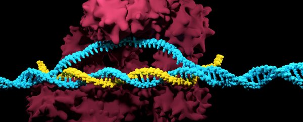 Scientists who said CRISPR is dangerous can't even replicate their own results
