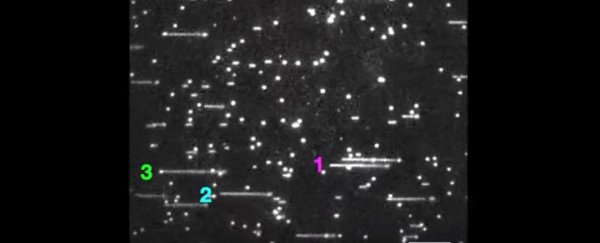 This is the first detailed footage of DNA Replication, and it wasn't what we expected