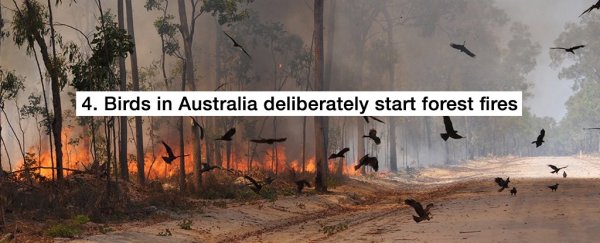 Here are the most astounding science facts we've learnt in 2018 so far