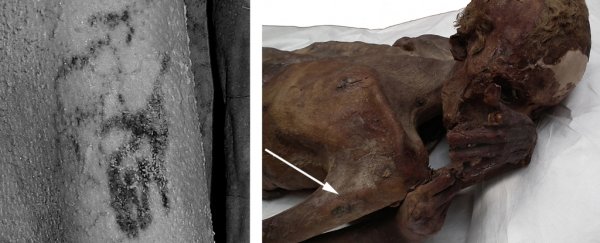 World's oldest figural tattoos were just found on 5,000-year-old Egyptian mummies