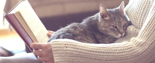 Here's why cats knead you with their paws, according to science